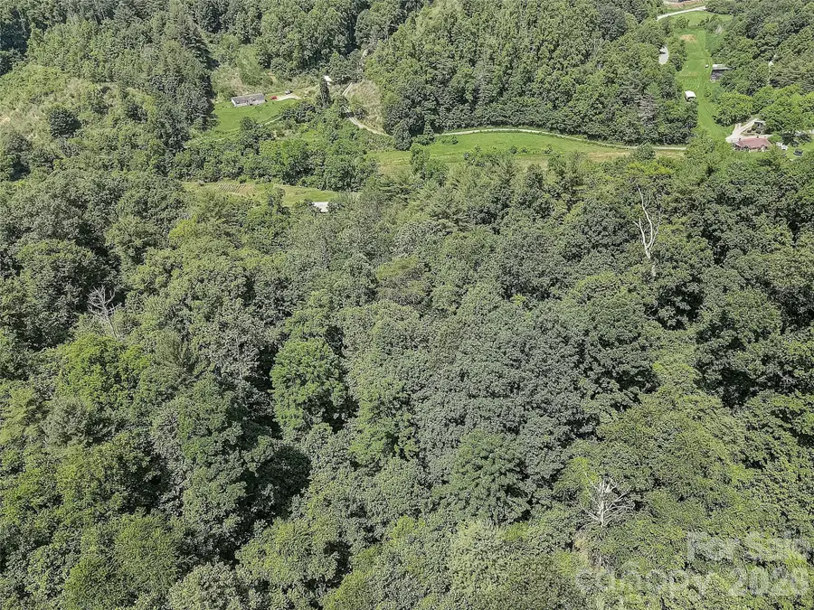 1820 Grapevine Road, Marshall, NC 28753 - #2