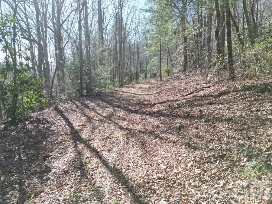 49 Reeds Creek Road, Fairview, NC 28730 - #2