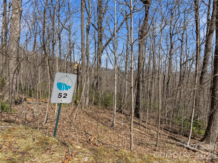 TBD Wild Magnolia Way #52, Zirconia, NC 28790 - #3