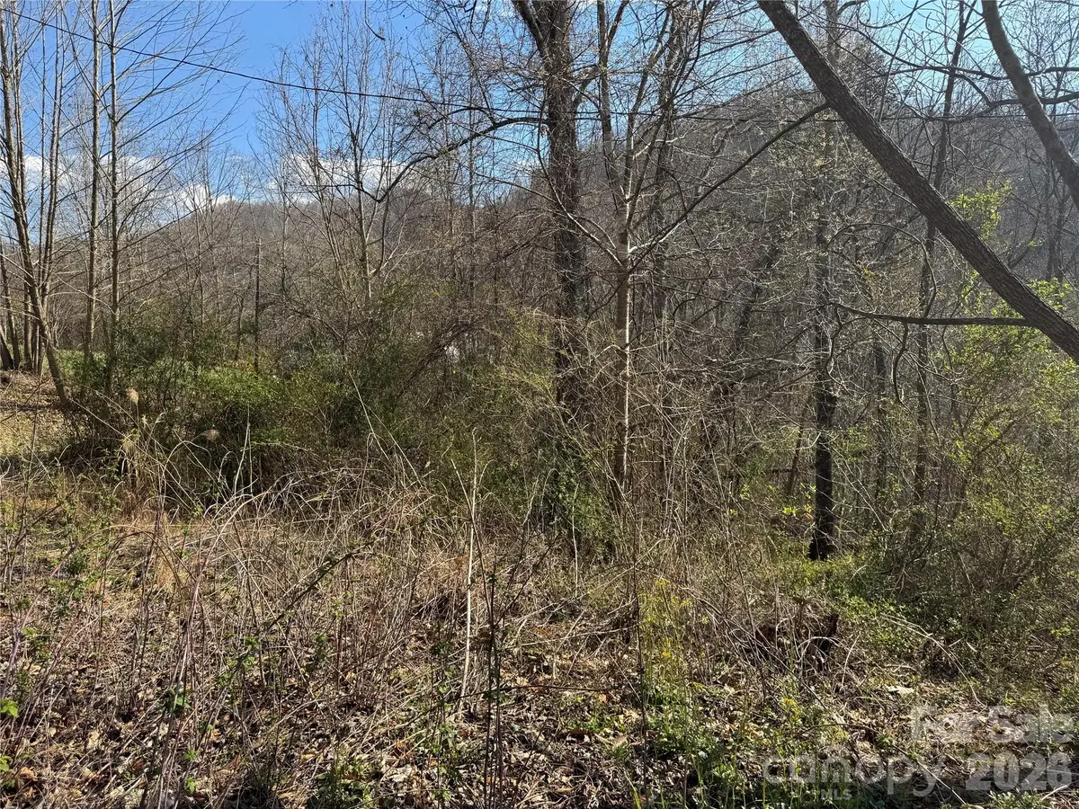 9999 Ox Creek Road, Weaverville, NC 28787 - #1