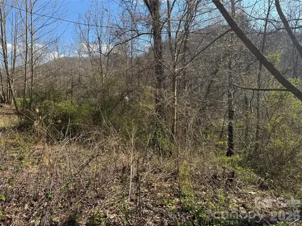 9999 Ox Creek Road, Weaverville, NC 28787