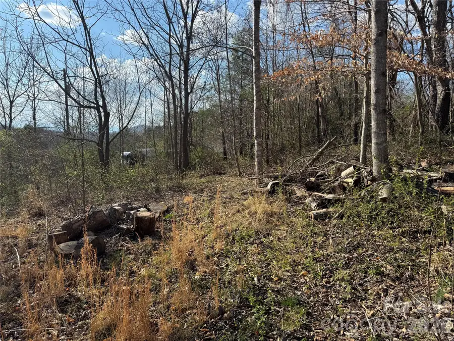 9999 Ox Creek Road, Weaverville, NC 28787 - #3