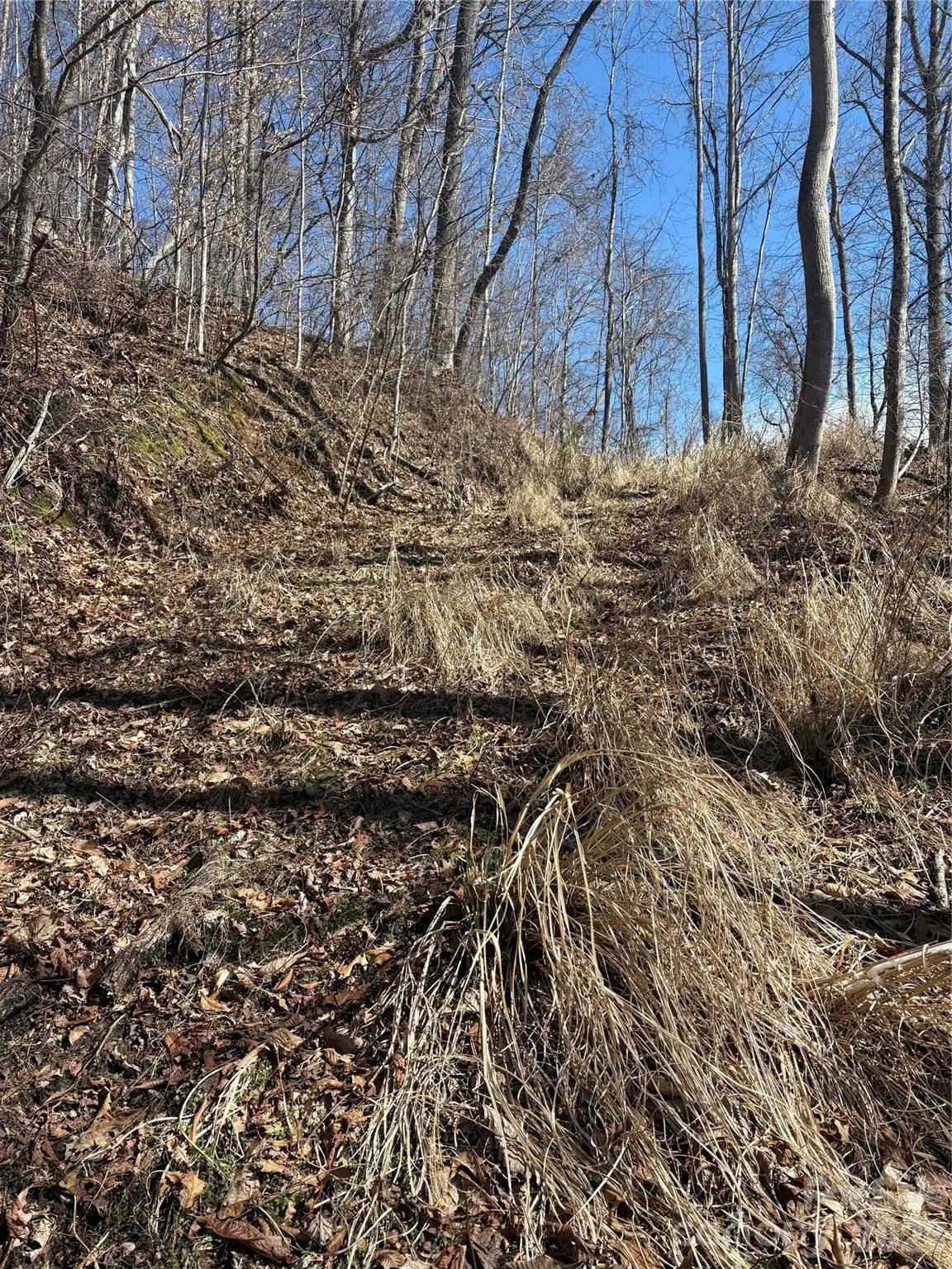 344 Running Deer Lane #71, Mars Hill, NC 28754 - #1