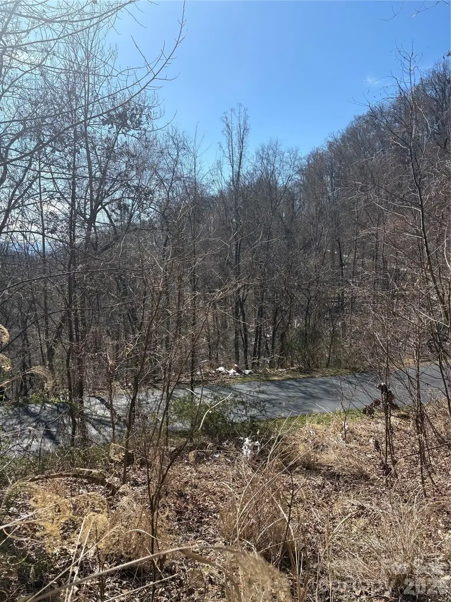 344 Running Deer Lane #71, Mars Hill, NC 28754 - #2