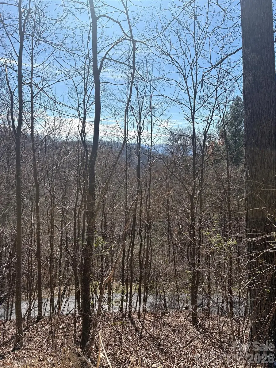 344 Running Deer Lane #71, Mars Hill, NC 28754 - #3