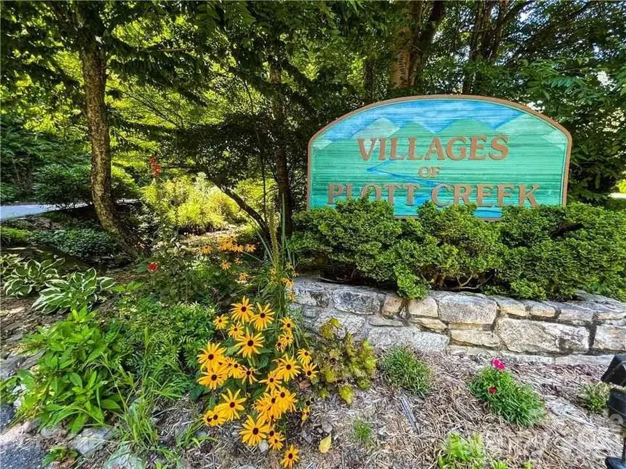 820 Chestnut Flats Lane #4, Waynesville, NC 28786 - #2