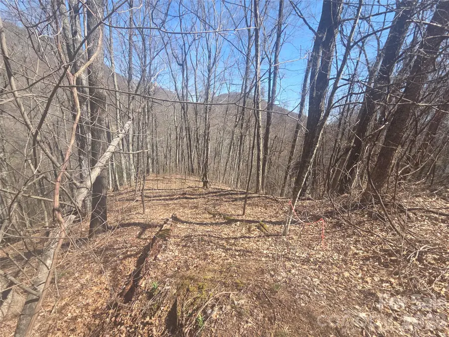 820 Chestnut Flats Lane #4, Waynesville, NC 28786 - #3