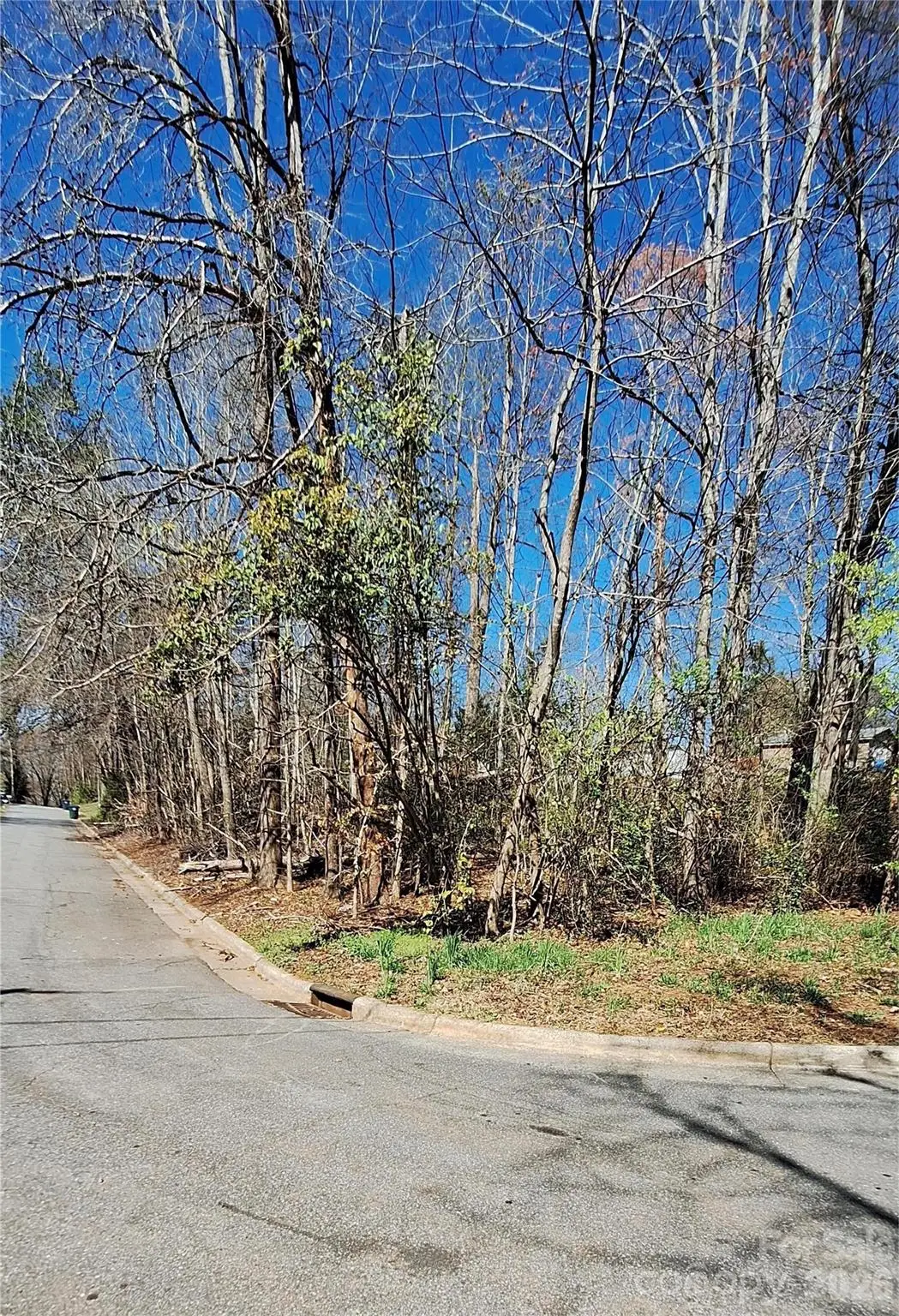 798 Woodlawn Avenue Sw, Valdese, NC 28690 - #1