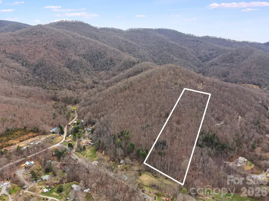 99999 Oak Ridge Road, Swannanoa, NC 28778 - #2
