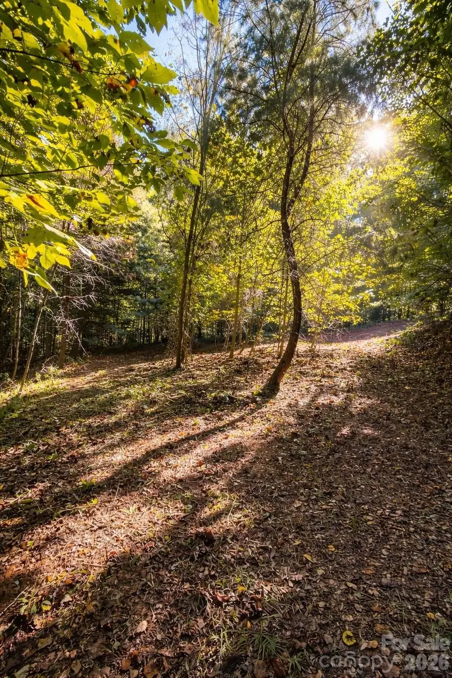 140 Johns Ridge Parkway #140, Lenoir, NC 28645 - #2