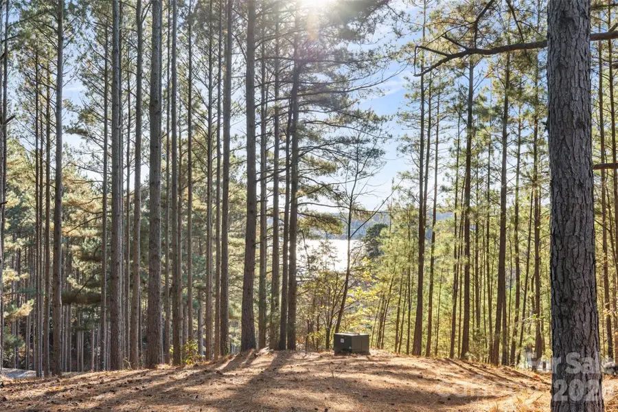 119 Wood Cove Lane, Stony Point, NC 28678 - #3