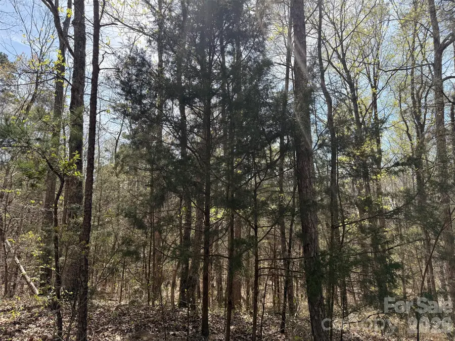 6223 Twining Vine Court, Kannapolis, NC 28081 - #2