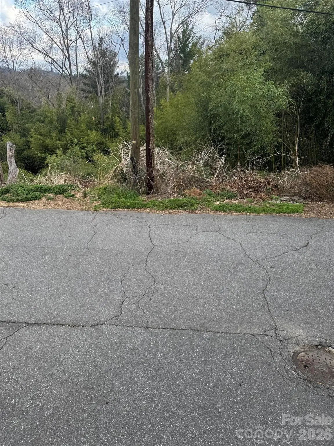 38 Belleair Road, Asheville, NC 28806 - #1