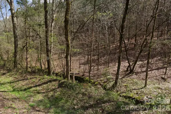 0 Morton Road, Polkton, NC 28135