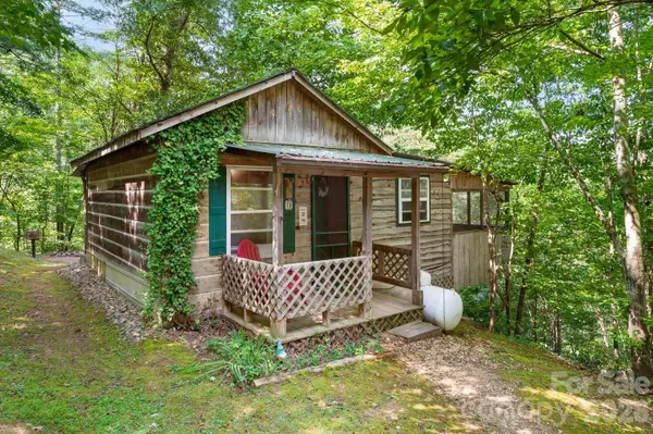 264 Rebel Drive, Hot Springs, NC 28743