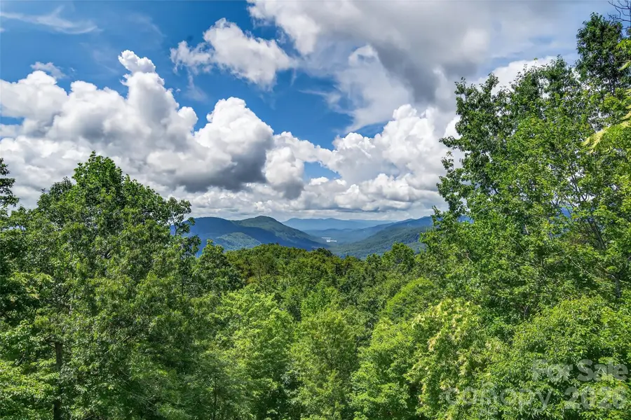 35 Elderberry Drive, Old Fort, NC 28762 - #3