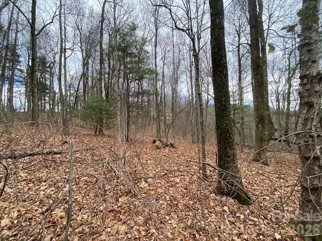 395 W Chestnut Ridges Road #14, Hendersonville, NC 28739 - #1