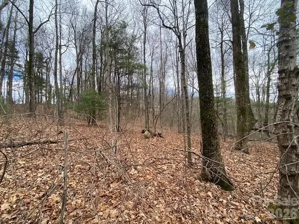 395 W Chestnut Ridges Road #14, Hendersonville, NC 28739