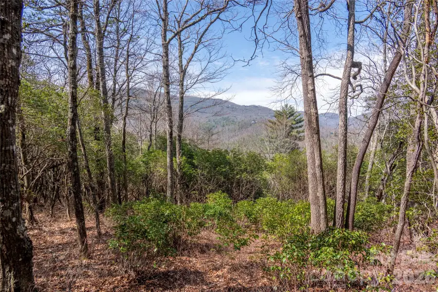 Lot 14 Lakeside Drive, Lake Toxaway, NC 28747 - #2