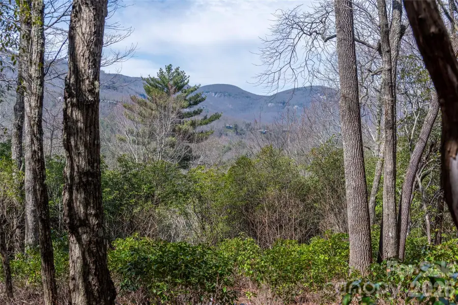 Lot 14 Lakeside Drive, Lake Toxaway, NC 28747 - #3