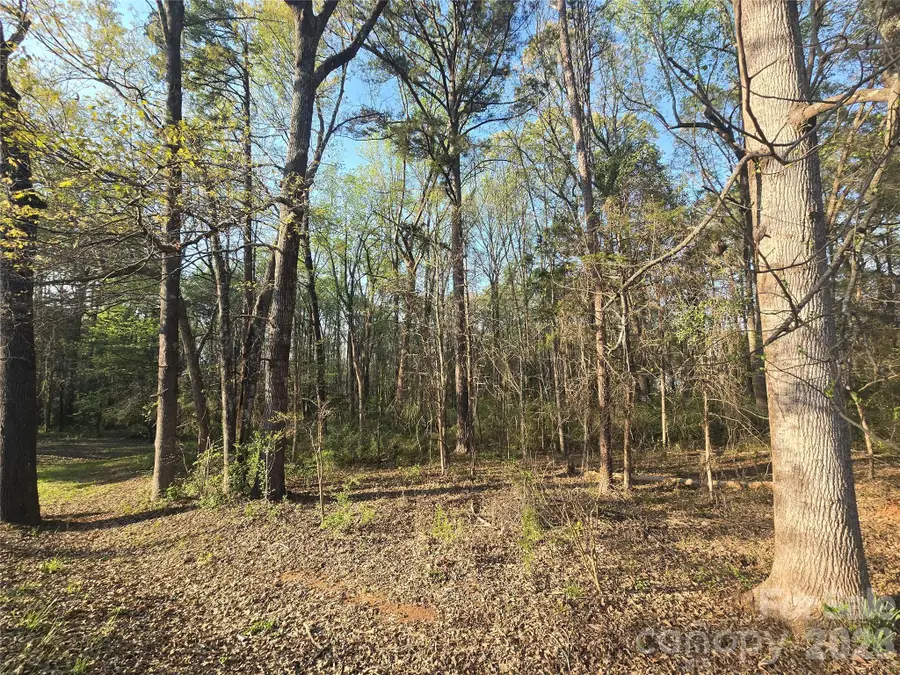 00 Aziza Road, Rock Hill, SC 29732 - #2