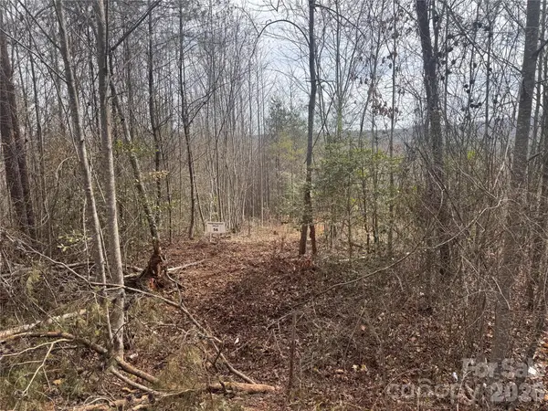 00 Billings Hill Church Road #56, Traphill, NC 28685