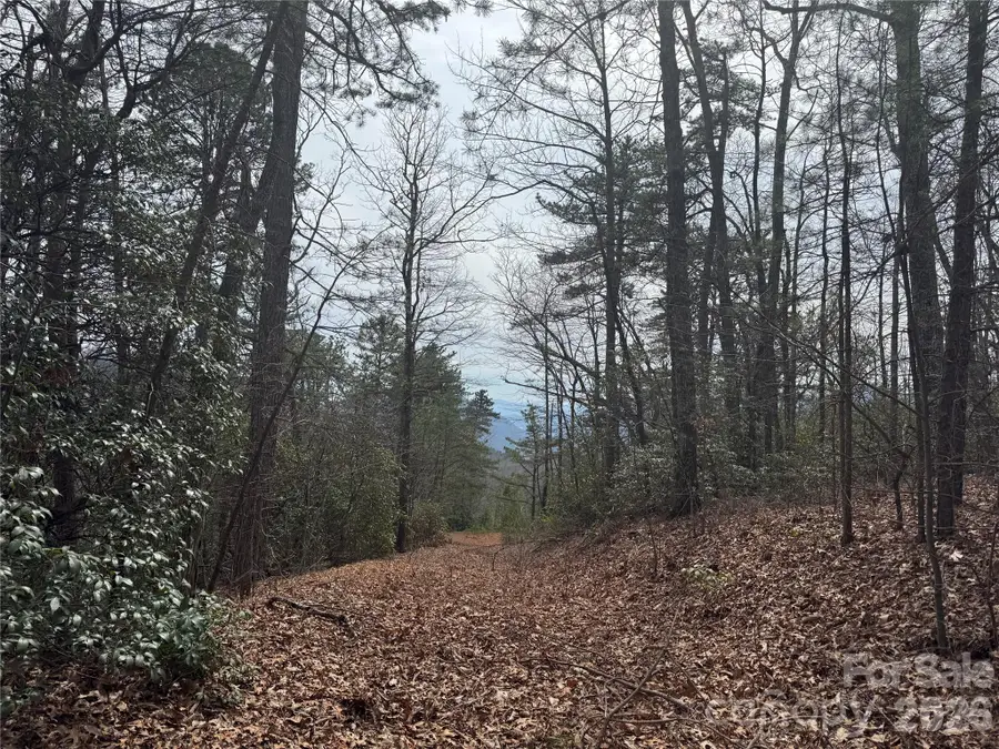 850 Harmonys Edge Drive #850, Old Fort, NC 28762 - #2