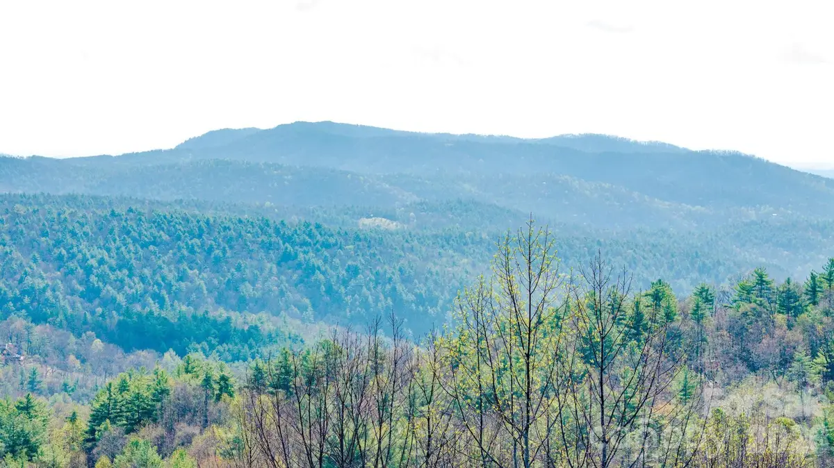 Lot 59 (7C) Cielo Drive #60 (6C), Purlear, NC 28665 - #1