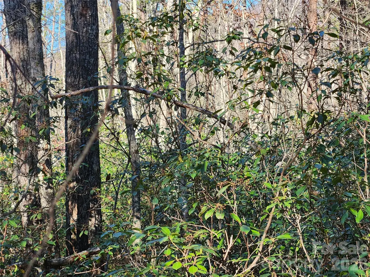 Lot 4 Whitney Boulevard, Lake Lure, NC 28746 - #1