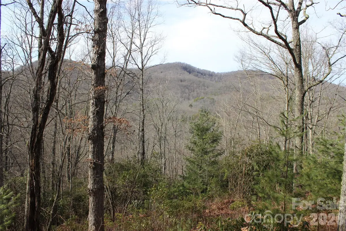 Lots 82 & 83 Waterdance Drive, Tuckasegee, NC 28783 - #1