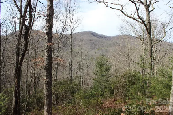 Lots 82 & 83 Waterdance Drive, Tuckasegee, NC 28783
