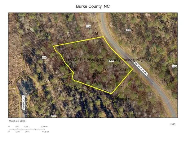 2115 Castle Peak Mountain None #146, Connelly Springs, NC 28612