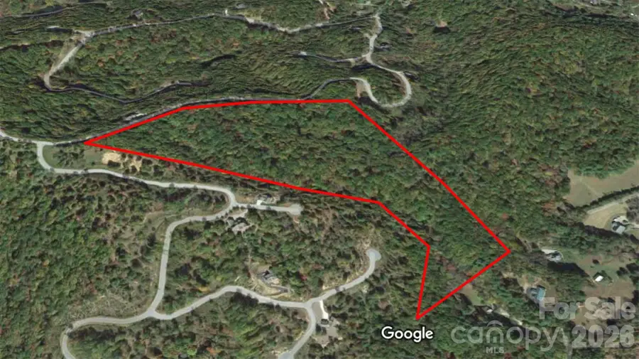 00 Homeplace Lane, Horse Shoe, NC 28742 - #2