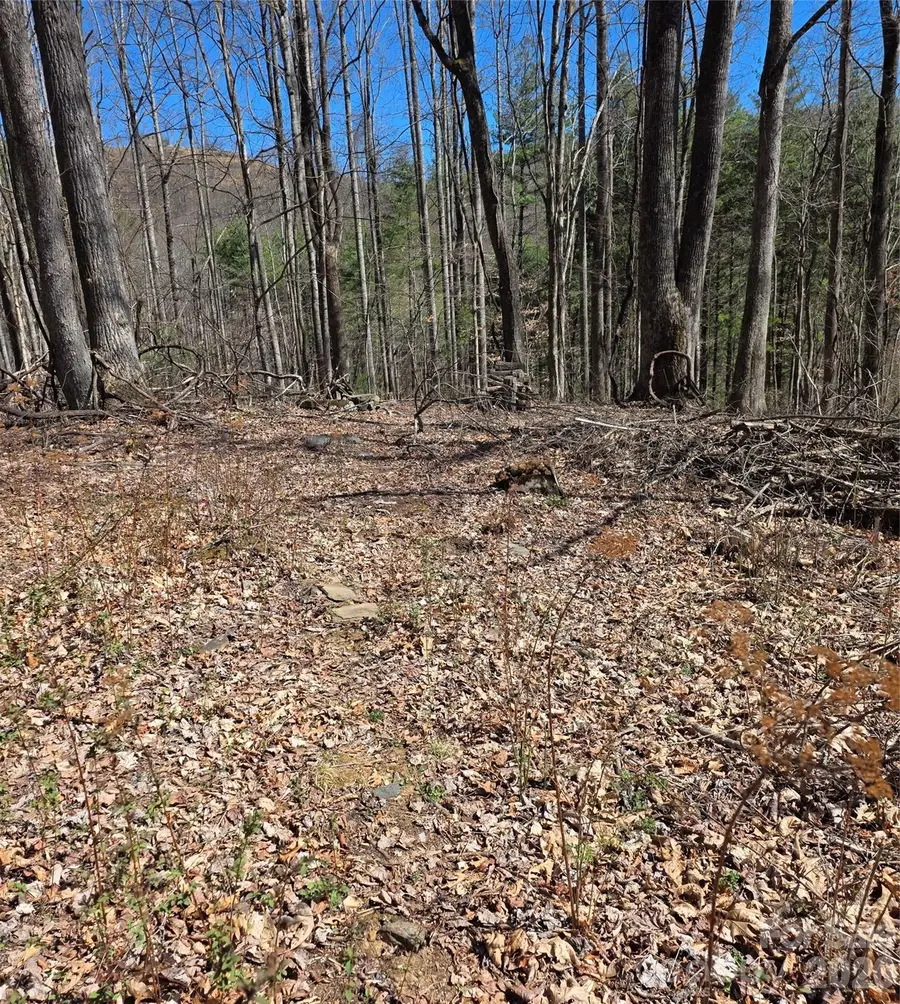 00 Altamont Way, Newland, NC 28657 - #3