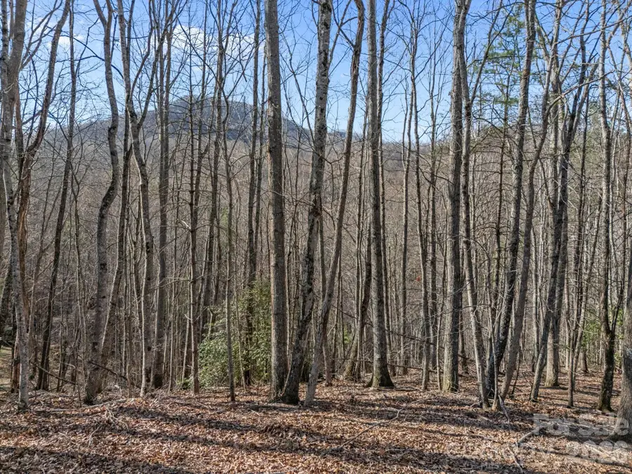 9999 Hidden Cove Road, Leicester, NC 28748 - #3