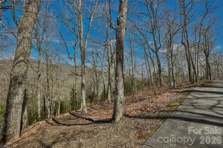 Lot 85 Waterdance Drive, Tuckasegee, NC 28783 - #2