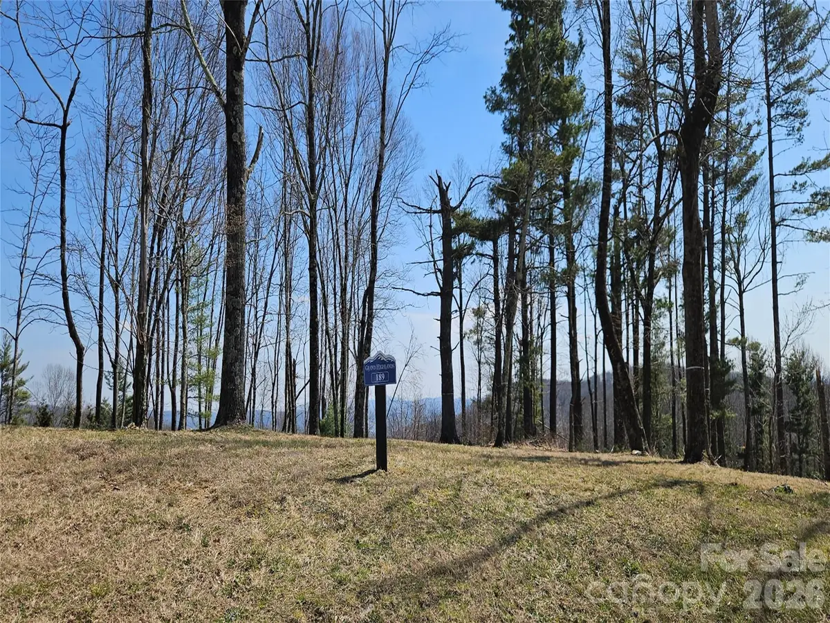 189 Dancing Bear Drive, Hendersonville, NC 28792 - #1