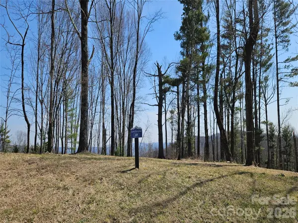 189 Dancing Bear Drive, Hendersonville, NC 28792