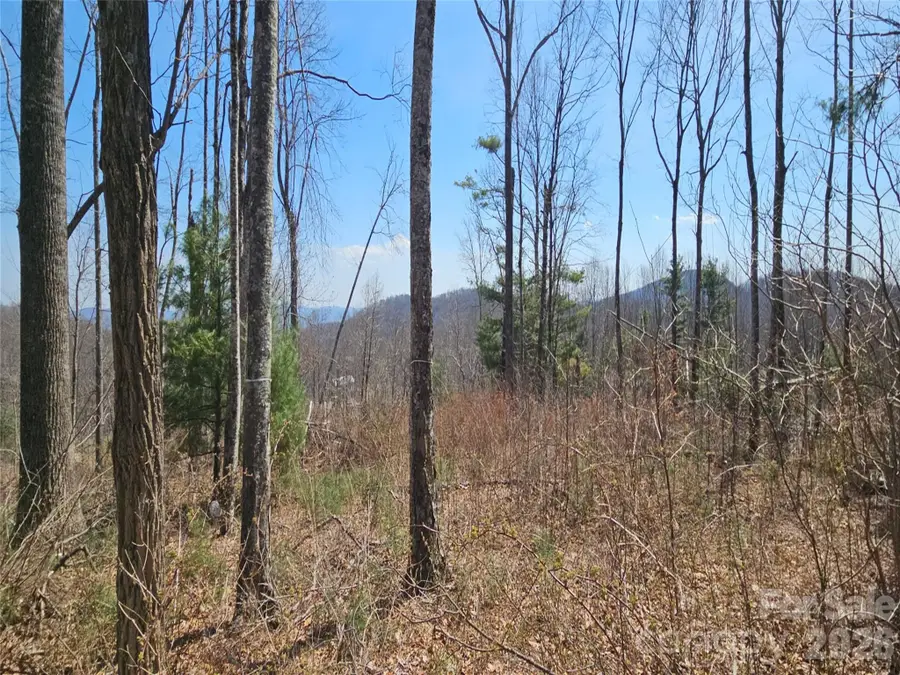 189 Dancing Bear Drive, Hendersonville, NC 28792 - #2