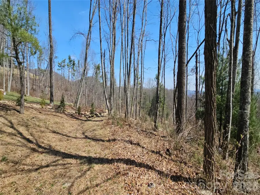 189 Dancing Bear Drive, Hendersonville, NC 28792 - #3