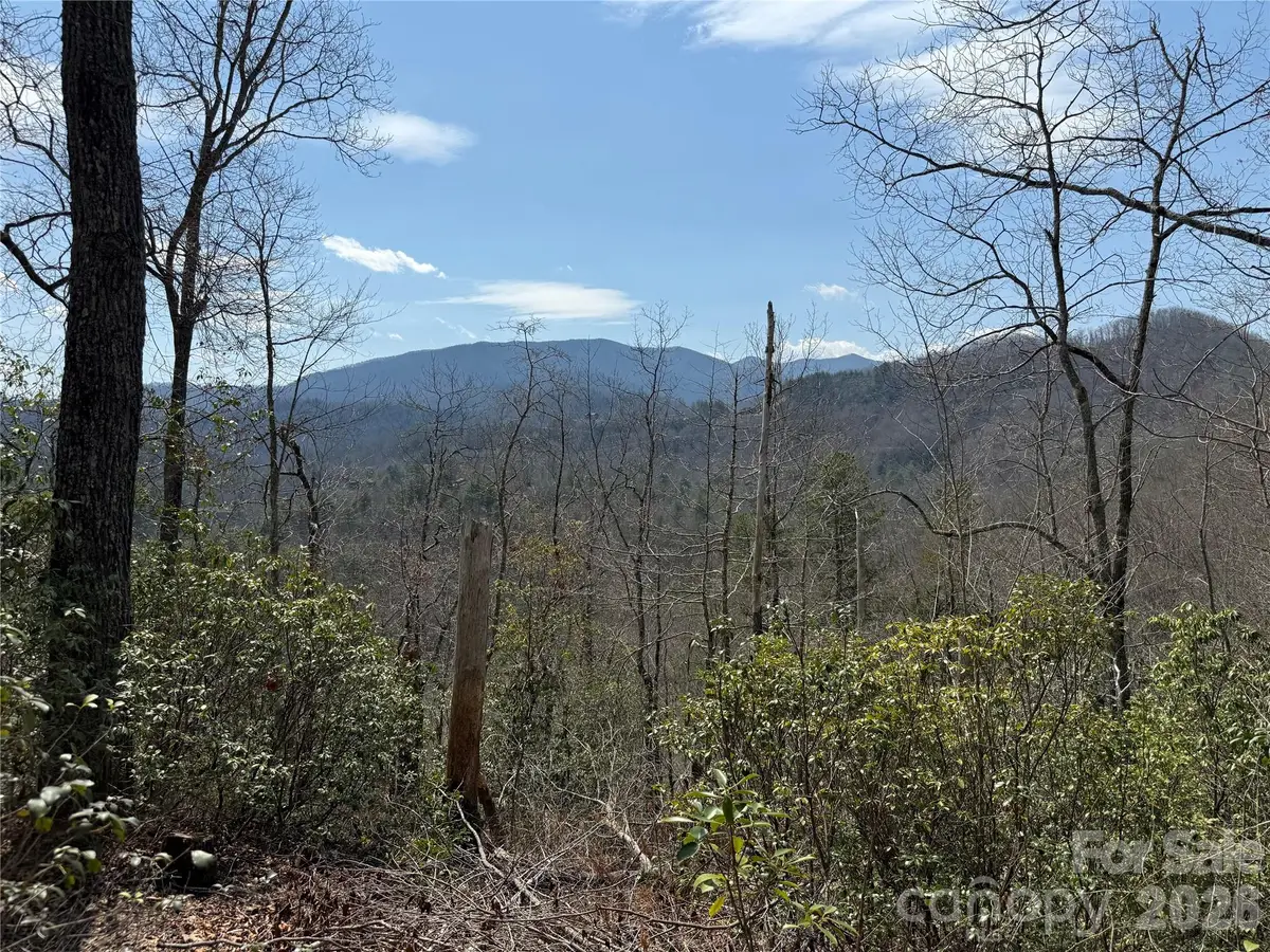 128 Mamies Way, Robbinsville, NC 28771 - #1