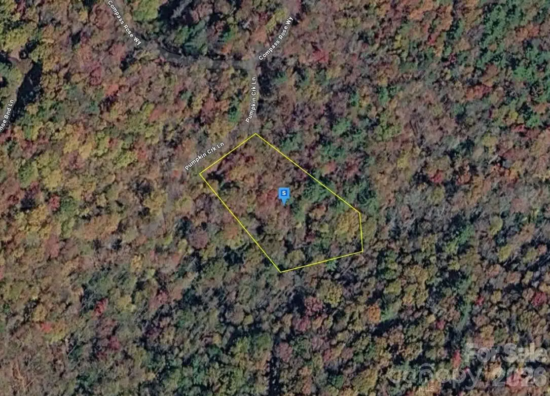45 Pumpkin Lane, Cashiers, NC 28717 - #1