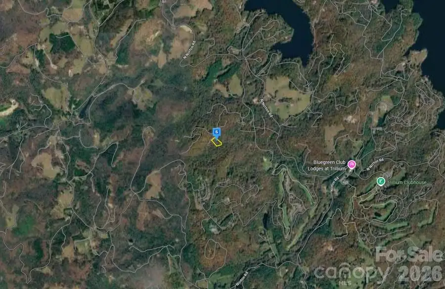 45 Pumpkin Lane, Cashiers, NC 28717 - #2