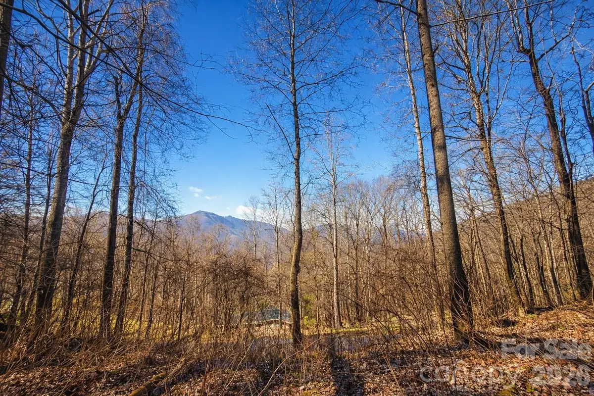4 Buckeye Road #63, Maggie Valley, NC 28751 - #1