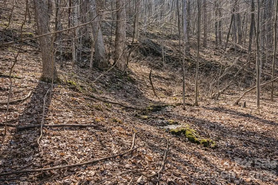 4 Buckeye Road #63, Maggie Valley, NC 28751 - #2