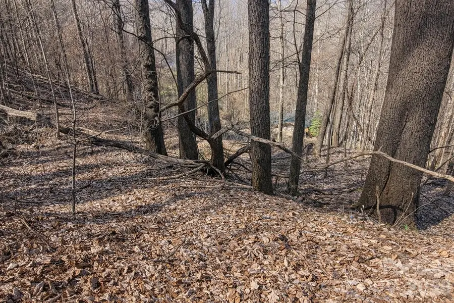 4 Buckeye Road #63, Maggie Valley, NC 28751 - #3