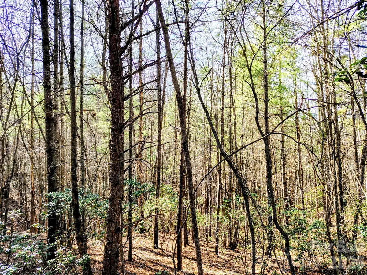 10 Acres Tahoe Trail, Collettsville, NC 28611 - #1