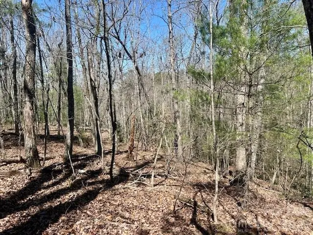 TBD Connelly Springs Road #5, Lenoir, NC 28645 - #1