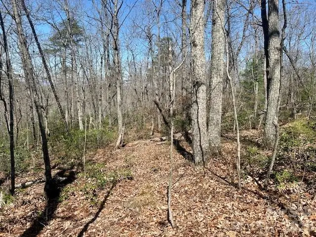 TBD Connelly Springs Road #5, Lenoir, NC 28645 - #2