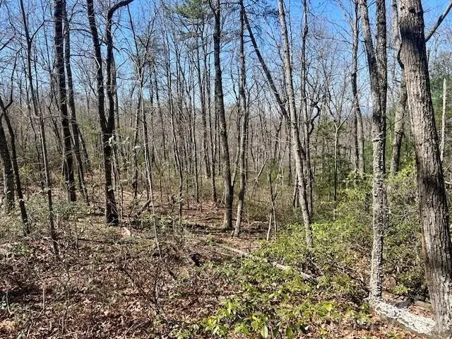 TBD Connelly Springs Road #5, Lenoir, NC 28645 - #3